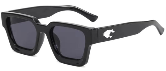 Wildcats Black Signature Frames
